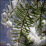 Vœux et horaire des fêtes!